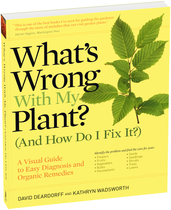 What s Wrong With My Plant? (And How Do I Fix It?) Online Hot Sale