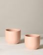 Small Grant Planter Duo on Sale