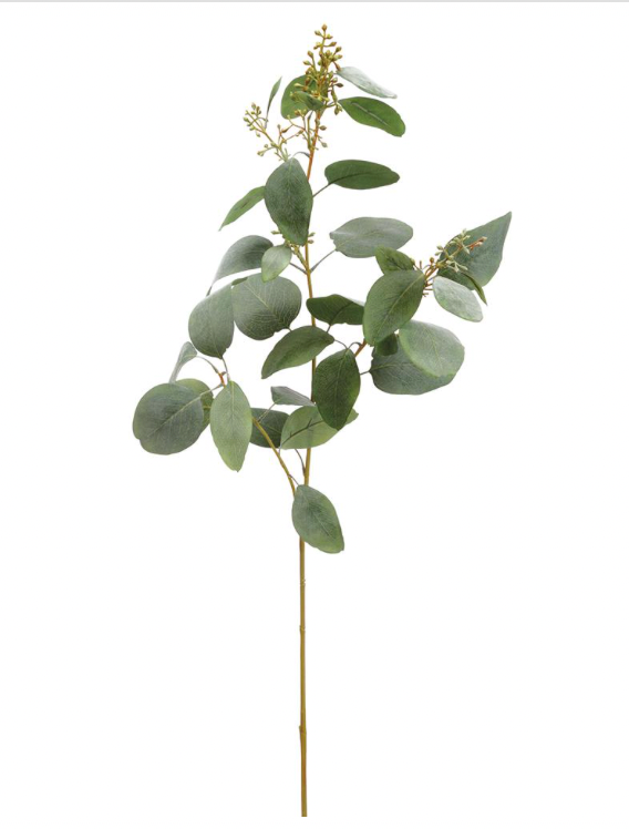 40  EUCALYPTUS BRANCH Online