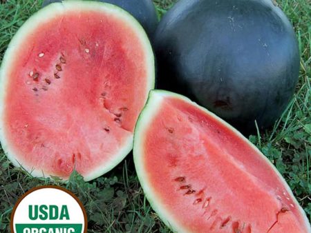 Watermelon, Blacktail Mountain Organic Seeds Online