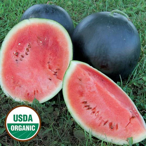 Watermelon, Blacktail Mountain Organic Seeds Online