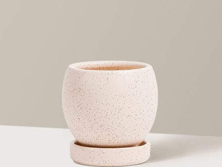 Evie Planter on Sale