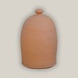 Terracotta Georgia Birdhouse For Sale