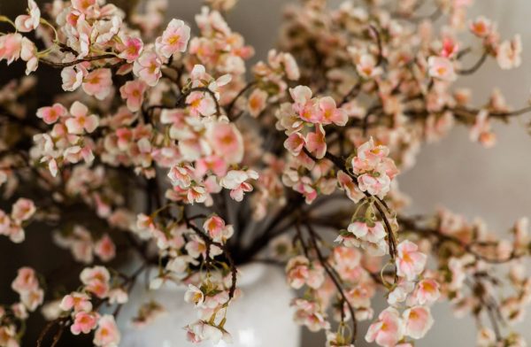 PREMIUM APPLE BLOSSOMS STEMS For Sale