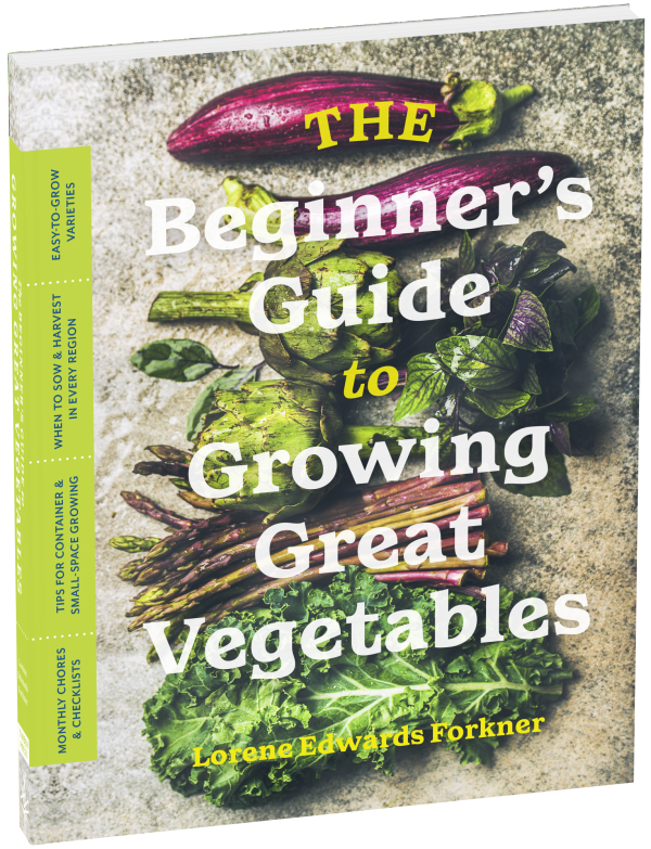 Beginner s Guide to Growing Great Vegetables For Sale