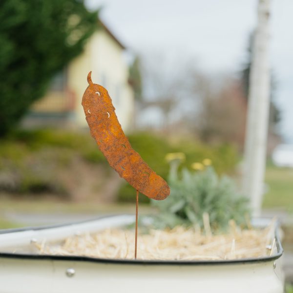 Rustic Steel Veggie Picks 5pc Set Online Sale