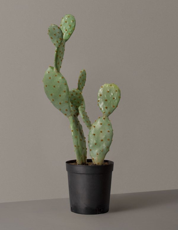 Faux Cactus Online