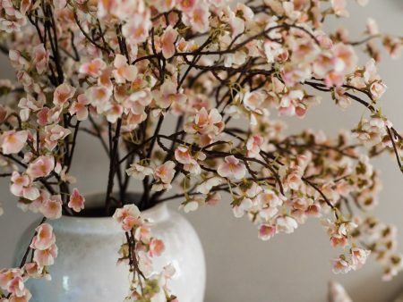 PREMIUM APPLE BLOSSOMS STEMS For Sale