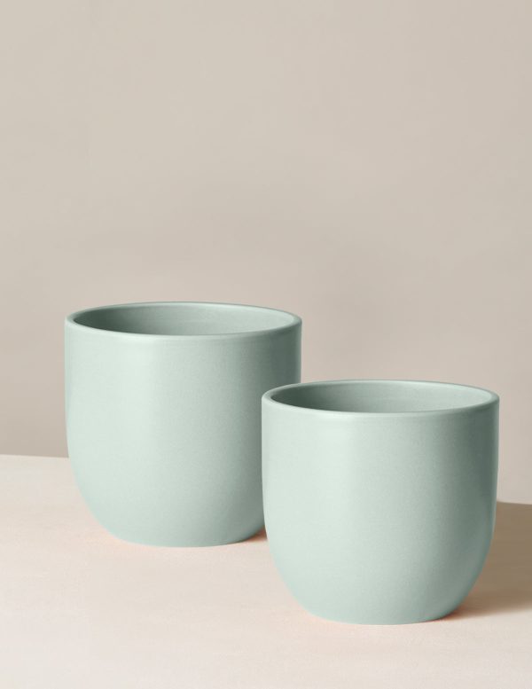 Medium Grant Planter Duo Fashion