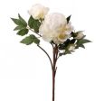 CREAM PEONY STEM Online Sale