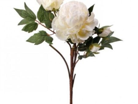 CREAM PEONY STEM Online Sale