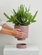 Terrazzo Banjo Planter Hot on Sale