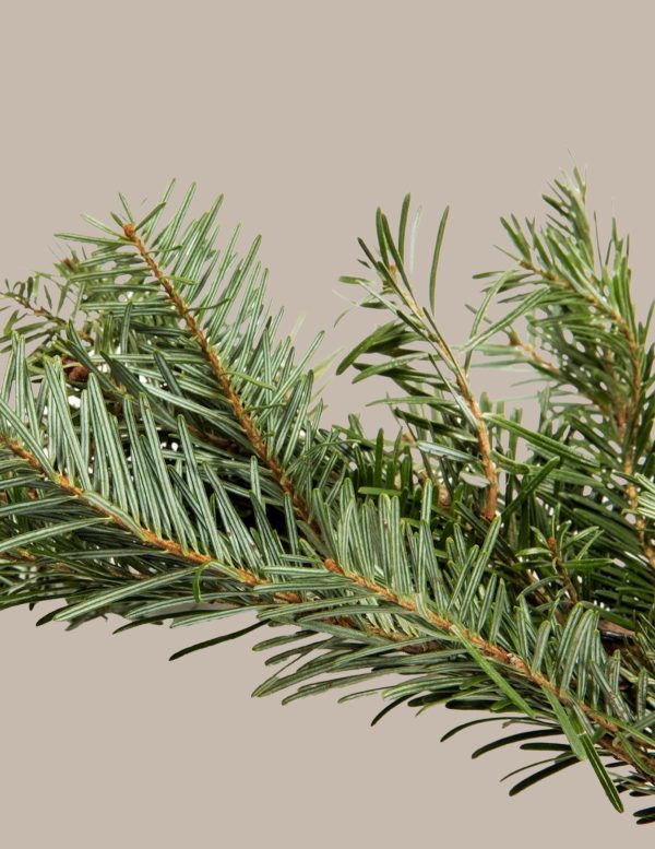 25 Ft. Fraser Fir Garland For Cheap