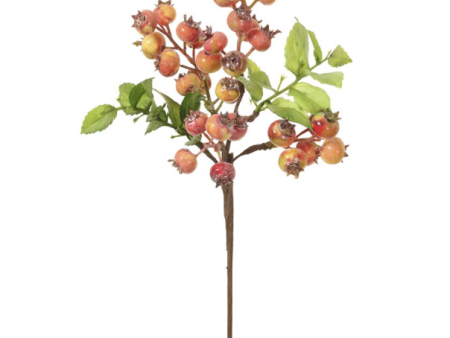 AUTUMN BERRY PICK STEM For Sale