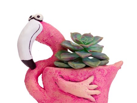 Fiona Flamingo Blobhouse Planter Sale