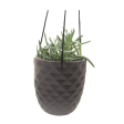 Thimble Hanging Pot Online now