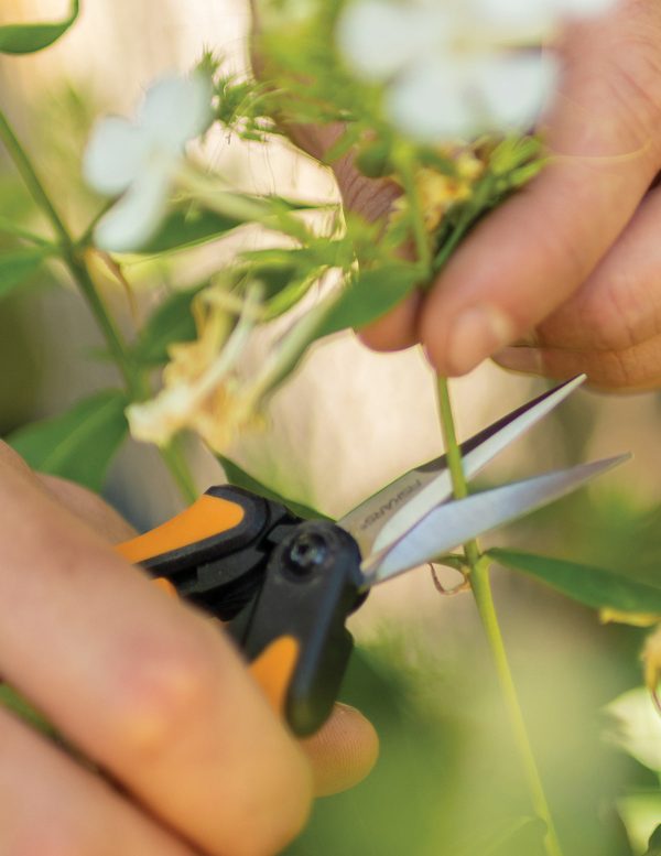 Micro-Tip® Pruning Snips For Cheap