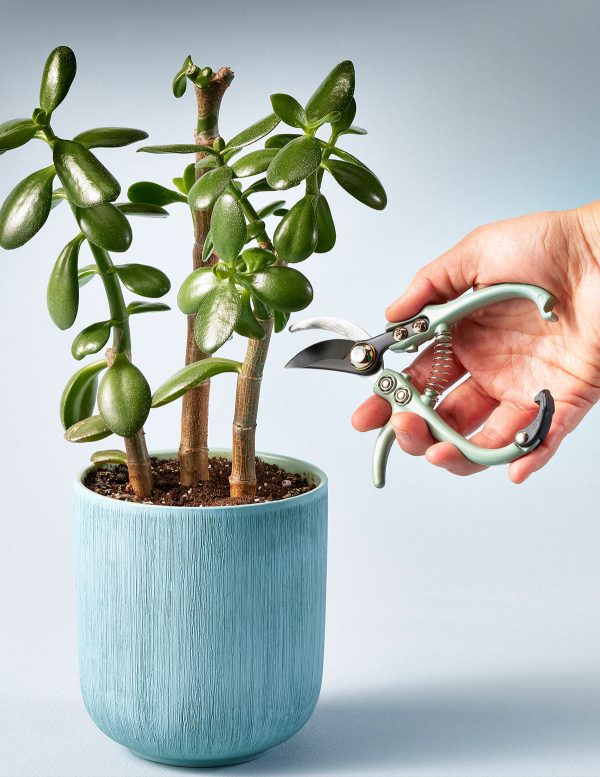 Plant Pruners Hot on Sale