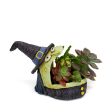 Winifred the Witch Blobhouse Planter Online Hot Sale