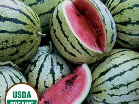 Watermelon, Chris Cross Organic Seeds Online