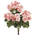 BEGONIA SPRING BRANCH IN PINK Sale