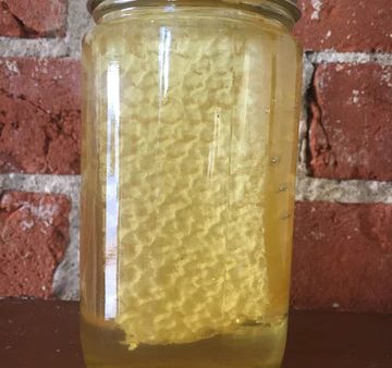 Honey Jar with Comb (Local) - 16 oz. For Cheap