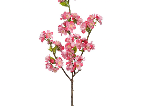 CHERRY BLOSSOM STEM IN PINK (set of 6) Discount