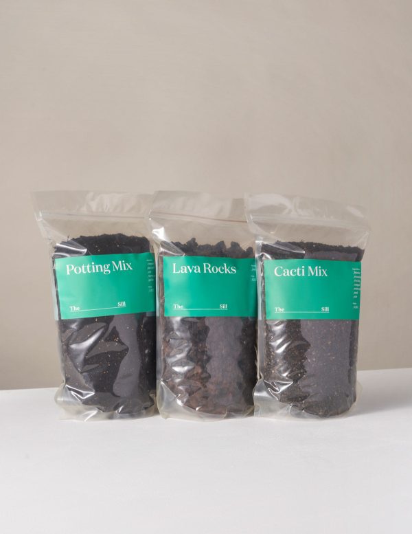 Potting Supplies Trio Sale