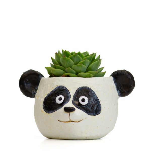 Mochi the Panda Head Blobhouse Planter Online now