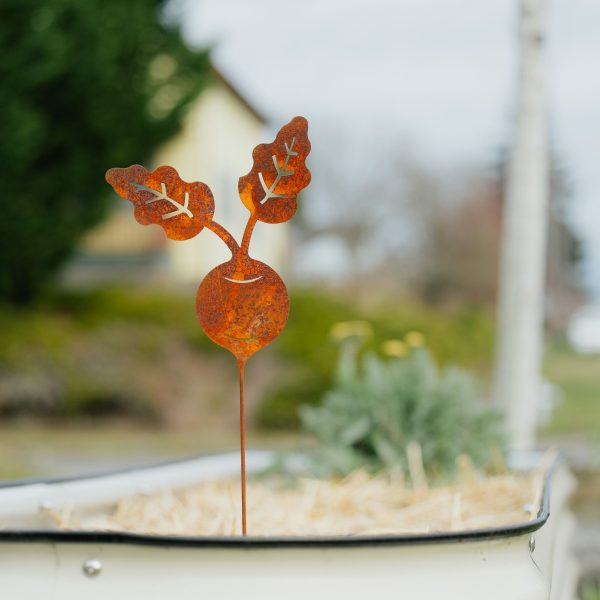 Rustic Steel Veggie Picks 5pc Set Online Sale