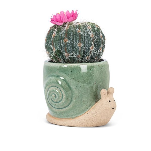 XS Crawling Snail Planter - 3.5 L Sale