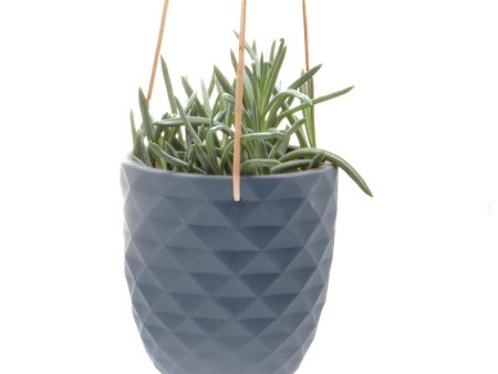 Thimble Hanging Pot Online now