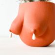 Drippy Sasha Planter Online Sale