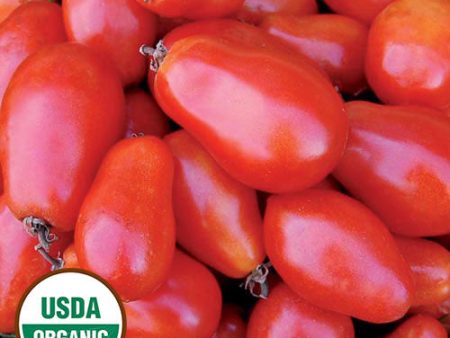 Tomato, Martino’s Roma Organic Seeds For Cheap