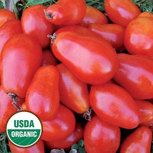 Tomato, Martino’s Roma Organic Seeds For Cheap