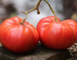 Tomato, German Pink Organic Seeds Online Sale