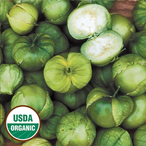 Tomatillo, Green Husk Organic Seeds For Cheap