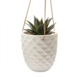 Thimble Hanging Pot Online now