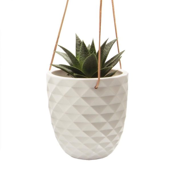 Thimble Hanging Pot Online now