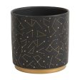 Universe Pot Supply