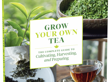 Grow Your Own Tea Sale