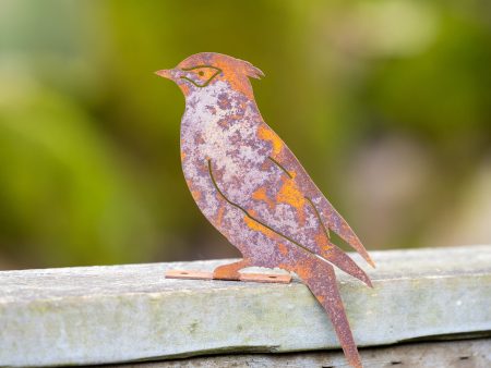 Rustic Stell Cedar Waxwing Bird Discount