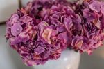 LAVENDER & PINK HYDRANGEA STEM Online Hot Sale