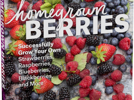 Homegrown Berries Hot on Sale