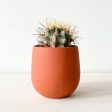 Drippy Sasha Planter Online Sale