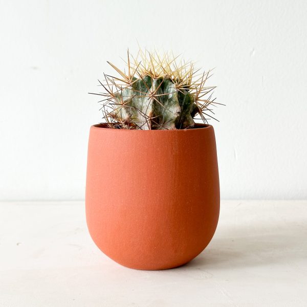 Drippy Sasha Planter Online Sale