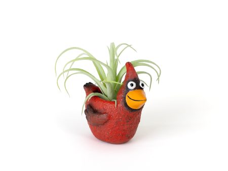 Mini Cardinal Blobhouse Planter - Ruby Sale