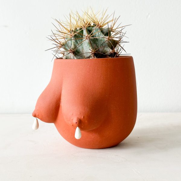 Drippy Sasha Planter Online Sale