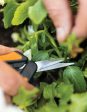 Micro-Tip® Pruning Snips For Cheap