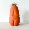 Venus Planter Online